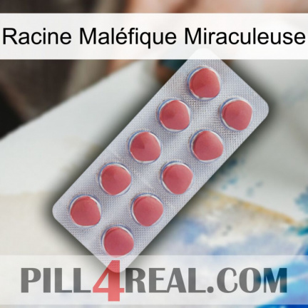 Racine Maléfique Miraculeuse 18